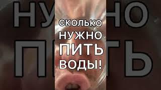 СКОЛЬКО ПИТЬ ВОДЫ?