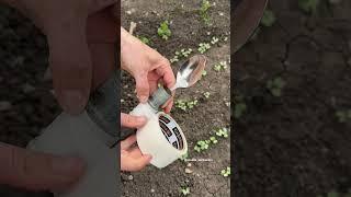 Если ложку примотать к шлангу или лейке,то получится отличный поливальник для маленьких растений