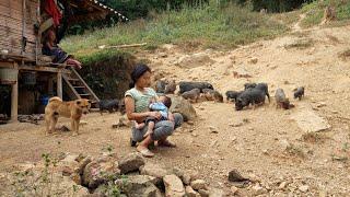 My Hard Day's Work | Pig Farming Life in Vietnam