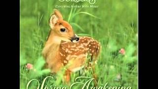 Spring Awakening - Dan Gibson's Solitudes [Full Album]