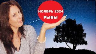 РЫБЫ ️. НОЯБРЬ 2024Г. ПЕРСПЕКТИВЫ И РАЗВИТИЕ