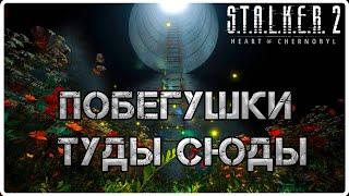 Собираем ошейники для ученого.   #48(S.T.A.L.K.E.R.2: Heart of Chornobyl)