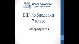 Биология. ВПР по биологии 7 класс