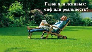 Газон для ленивых. Миф или реальность