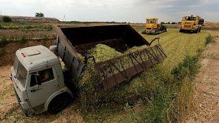 Заготовка силоса идет полным ходом! Но без сварщика никуда!