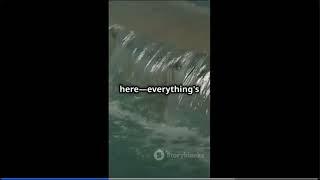 Concept of fluid motion, stream line and turbulent flow, Reynold’s number#basicengineering