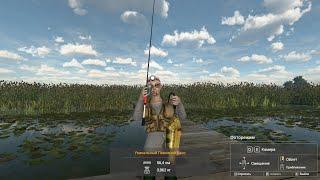 Fishing Planet. Эверглэйдс. Как поймать Уникального Павлиний Басса.