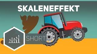 Skaleneffekt – Grundbegriffe der Wirtschaft