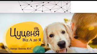 Dog's Breeder expert. Цуценя від А до Я. Юлія Бикова. 10.12.22