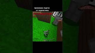 Подгон от подписчика #анархия #minecraft