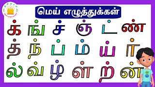 மெய் எழுத்துக்கள்|Mei Eluthukkal |Tamil Letters| Tamilarasi