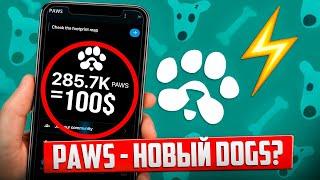 PAWS - ЛИСТИНГ В ЯНВАРЕ! НО ЗАРАБОТАЮТ НЕ ВСЕ? КАК ПОЛУЧИТЬ МОНЕТЫ? ОТВЕТЫ НА ВОПРОСЫ!