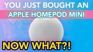 You Just Bought An Apple HomePod Mini: User Guide