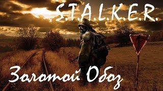 S.T.A.L.K.E.R Золотой обоз (глобальный мод)