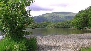 Summertime on the bonnie banks of Loch Lomond - Scotland