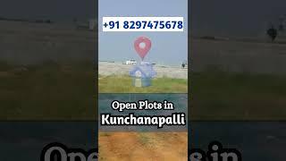 Low Budget Open Plots in Kunchanapalli for Sale || Amaravati Ventures || Call +91 8297475678