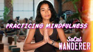 The Tree Yoga Cooperative: Wellness in South LA | SoCal Wanderer | Season 3, Episode 4 | PBS SoCal