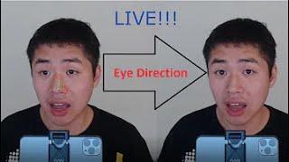 This App redirects your gaze / eyes to camera (in real time / pre-record), NO need to write any code