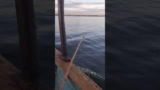 Fishing from a Boat #uganda #africa #fishing Day 5