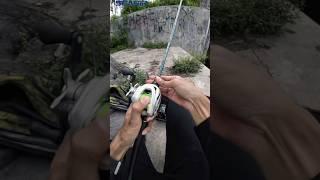 #shorts #shortsvideo #short #shortvideo #angler #fishing