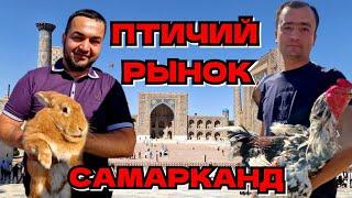 ПТИЧИЙ РЫНОК в САМАРКАНДЕ//SAMARQAND QUSHLAR BOZORI #самарканд #птичийрынок @SilkRoad-gt3yq