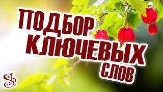 Про ключевые слова. Автоматический подбор ключевых слов для микростоков