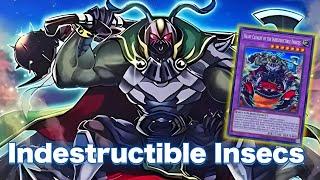 New Fusion TCG EXCLUSIVE ! Heavy Cavalry of the Indestructible Insects DECK NEW CARD - YGOPRO