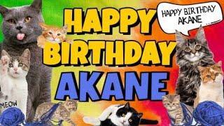 Happy Birthday Akane! Crazy Cats Say Happy Birthday Akane (Very Funny)