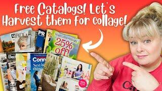 Free Catalog Harvesting! Adding images to the March Giveaway Basket!