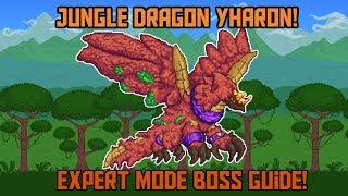 How to Beat Yharon in Terraria! -Expert Mode Calamity Mod Boss Guide!