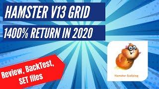 Hamster v13 - new updated - Best Grid Martingale Trading Robot?