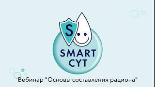 Общие принципы построения рациона