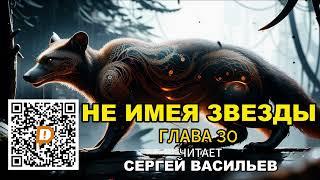 Не имея звезды - Глава 30 | Гарри Поттер (аудиокнига Васильев С.)