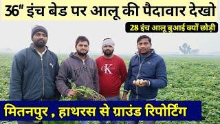 36" बेड पर आलू की पैदावार देखो || हाथरस से ग्राउंड रिपोर्टिंग | real farmer education | potato