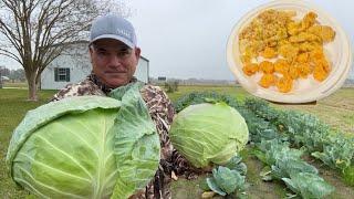Planting Cabbage By Seed (Farm to Table) Cooked A Cabbage Casserole, Fried Fish & Shrimp At The Camp