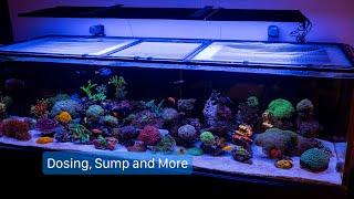 Waterbox REEF LX 340.7 - Sump, Dosing and More