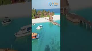 Beauty Of Maldives ।  Holiday Expert  #travel #maldives  #maldivesbeach