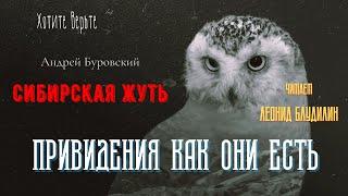 Сибирская Жуть: ПРИВИДЕНИЯ КАК ОНИ ЕСТЬ (автор:  Андрей Буровский).