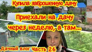 КУПИЛА ЗАБРОШЕННУЮ ДАЧУ # 26/ПЕРЕЕЗЖАЕМ НА ДАЧУ/ЧТО С ДАЧЕЙ/ПРИЕХАЛИ НА ДАЧУ ЧЕРЕЗ НЕДЕЛЮ, А ТАМ …
