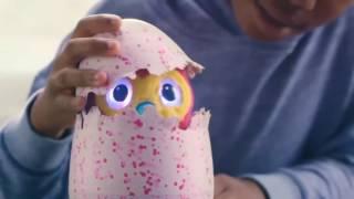 Интерактивная игрушка Hatchimals - Дракоша / Пингвинчик (Питомец Хетчималс, вылупляющийся из яйца)