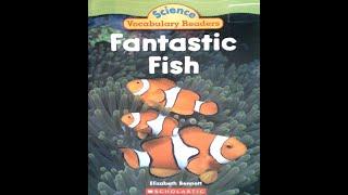 Fantastic Fish Read Aloud