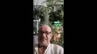 Дом Помидоров - Помидом.ру в прямом эфире!