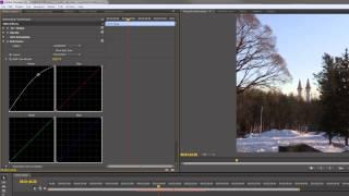 RGB-кривые: цветокоррекция в ADOBE Premiere Pro