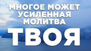 Многое может усиленная молитва ТВОЯ | 11.12.2022