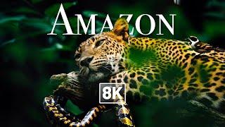  [ 8K ] AMAZING ANIMALS of AMAZON in 8K Ultra HD (8K Drone Video)(Relaxing Music)