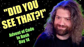 DID YOU SEE THAT?! Advent of Code 2024 in Bash: Day 14 - Restroom Redoubt