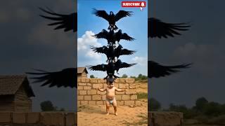 10 Crows Stacked on a Baby’s Head? You Won’t Believe This! ‍⬛ #shorts