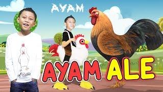 LAGU AYAM - ALE I LAGU ANAK INDONESIA