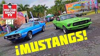 Mustangs, Milanos y un Mercedes antiguo - MotorShow TV: Episodio 151