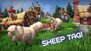 Sheep Tag | Warcraft 3: Reforged | Custom Games